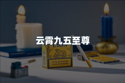 云霄九五至尊